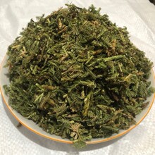 ���l���� ����ʯ�� ����ʯ�� �ɰ�߀� ���NҎ��