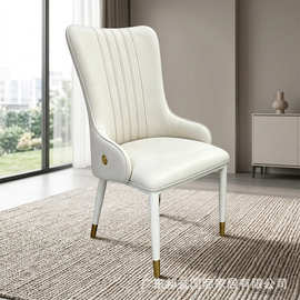Modern Dining Room Chair Wood Luxury Fabric Dining Chairs