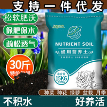 营养土通用种菜花土家用种植土有机土大量批发养花专用多肉泥炭土