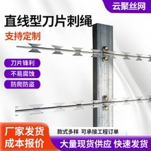 热镀锌刀刺直条围墙防攀爬刺网防锈刀片防盗直线型刀片刺绳