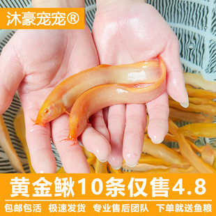 ��������S�����q�S���q�����q�����q�~�������С���~�ͻ��^�p�~