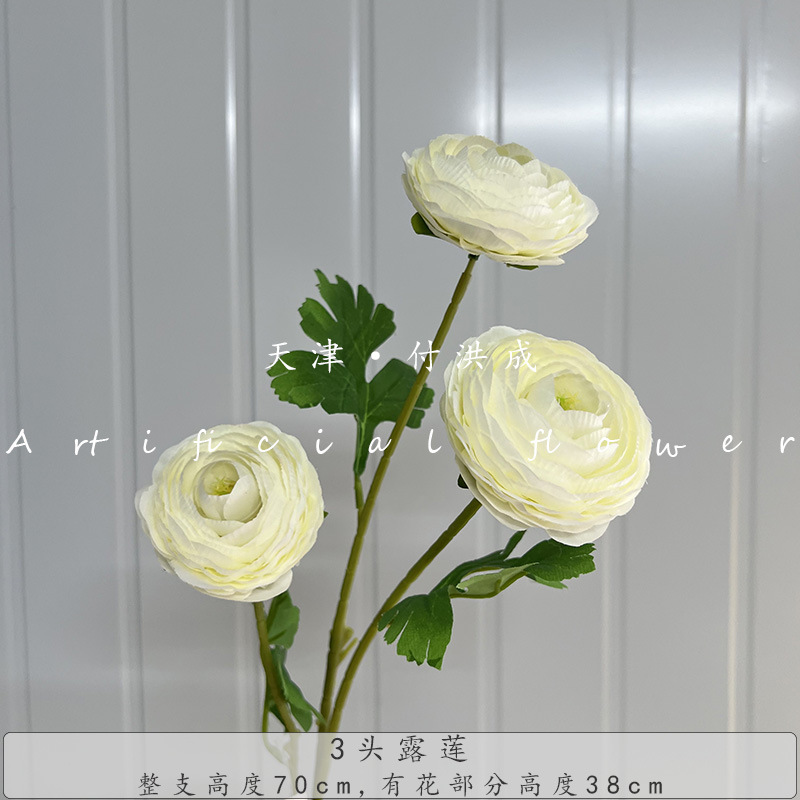 이슬 연꽃 머리 3개