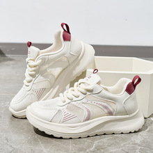 2025羳¿ŮЬW͸\СЬװٴeЬŮQ