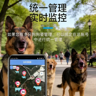 GPS Locator Beidou Satellite Anti-Lost Device