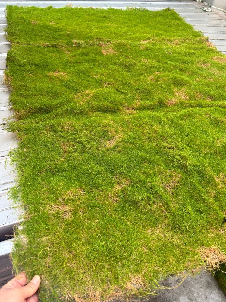 QQ图片20231201142306_副本