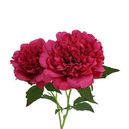 European-style artificial flower single branch hand-feeling moisturizing peony flower home decoration flower arrangement ornaments bride bouquet wedding fake flower