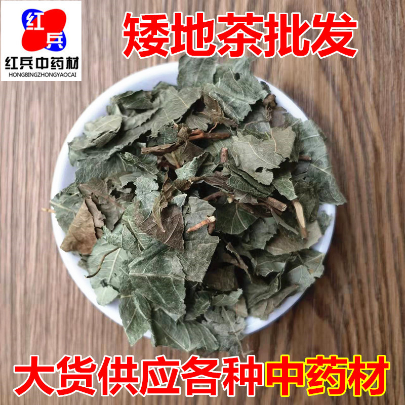 Dried Ai Di Tea Herb Ardisia Japonica Whole Herb Traditional TCM Decoction Herb Bulk Supply overview