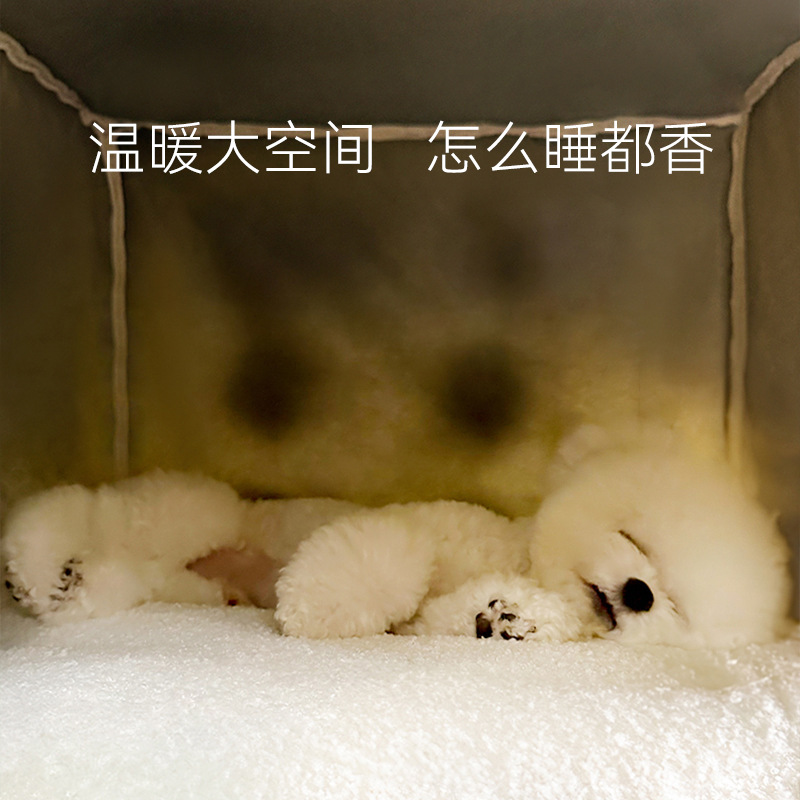 Mascota Perrera de invierno Four Seasons Universal tipo de casa extraíble y lavable invierno cálido cama del perro de Peluche estera perro pequeño