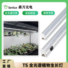 �M�๤�S�Nֲ�a������猣��ȫ���VLED���_�P��ˮֲ�����L����