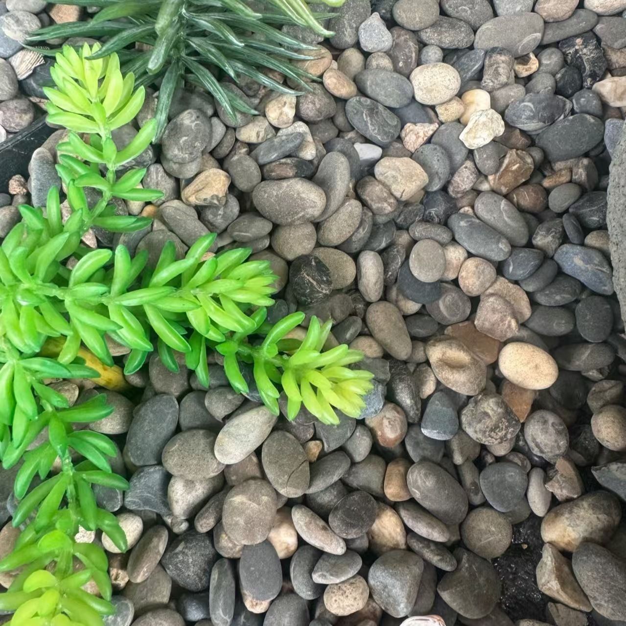 Césped artificial de musgo verde césped artificial planta paisaje planta verde escena ventana pantalla bonsai falso musgo