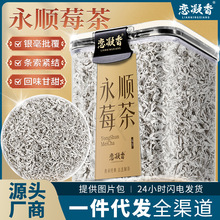 恋凝香莓茶新茶正宗手采富含黄酮湖南湘西特产云雾茶口粮茶罐装