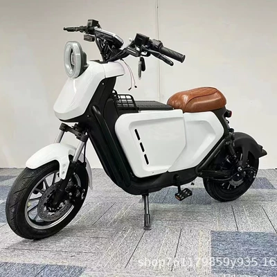 Import and Export Electric Vehicles, Elektrikli motosikletlər
