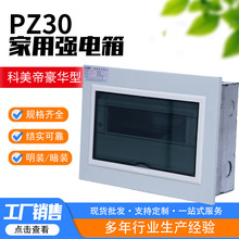 ÏPZ30Сͻ·_ýُ՚_P