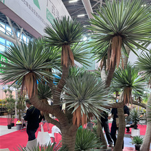 �������ǧ�ք���������m�Gֲ�쾰�٘��҃��̈�������ظ߶˔[��