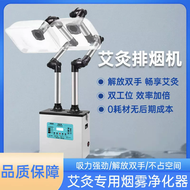 Прижигание Дымоочиститель Мощный подвижный курильщик Дымоочиститель прижигания Дытоочиститель внутреннего курения Дымоочиститель