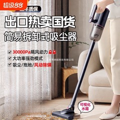 有线吸尘器家用大吸力小型手持大功率无线吸拖一体机除猫毛二合一