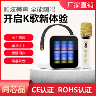 2023Rgbk Karaoke Bluetooth Speaker Zx01 Outdoor Portable Sound Pickup Rhythm Light Mini Speaker Dual Microphone
