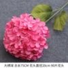 Single Sterucium-Rose Red