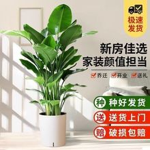 BGֲϘ҃ԝ՚ݗBo~Gֲ