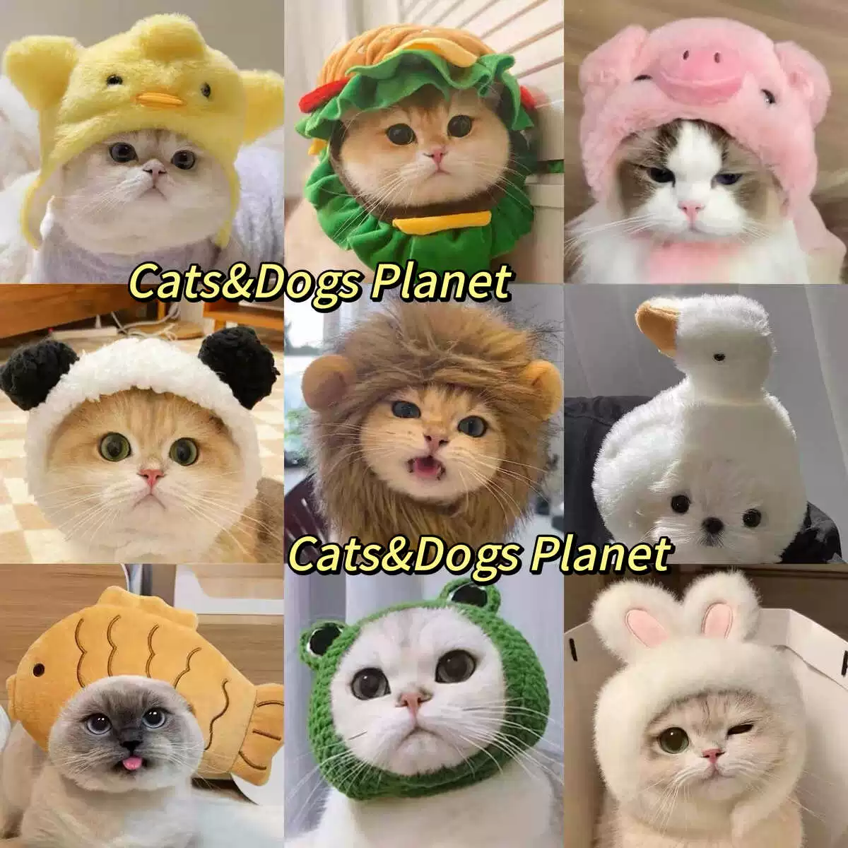 Милый и забавный костюм кошки, шляпа для домашних животных, золотой градиент, британский короткий немецкий головной убор для собаки, головной убор с рисунком бургера