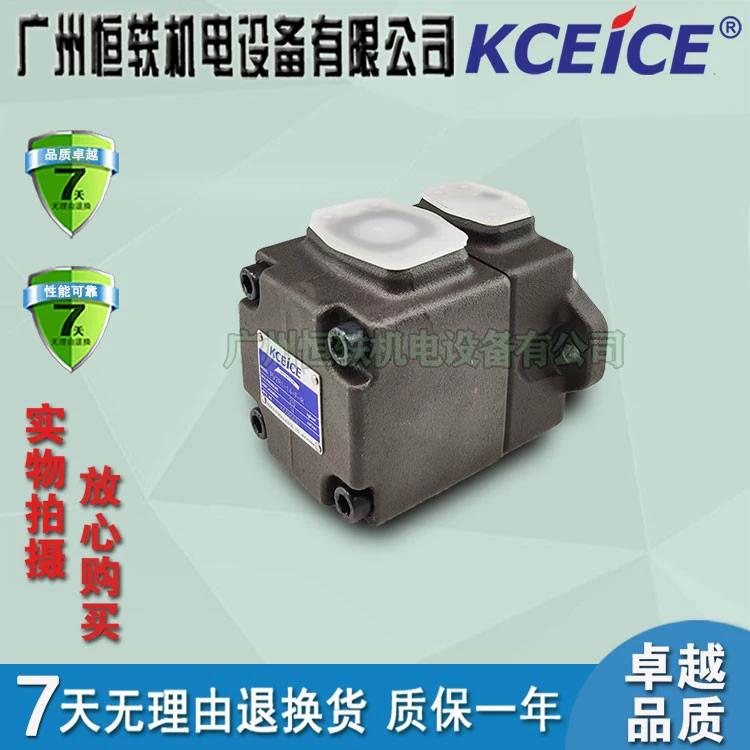 Тайвань лопастной насос PV2R1-23-F-RAA-41R12-25-19-17-31-14-10-RAB-RAR-F-R