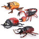 Simulation insect toy model large ladybug Dragonfly cricket mantis Spider bee children's science and education cognitive gift