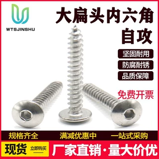 蘑菇头伞头大圆头自攻螺钉TA不锈钢304大扁头内六角自攻螺丝M2M3