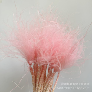 Feather grass flower