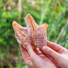 �S���Ĵ���S�ɶ��S��������Ұ����S�r�������۶��S�ɸ�؛