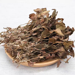 ��ɏ ���~�tϼ ̨����ɏ ������ɏ �a��؛Դ һ�����l