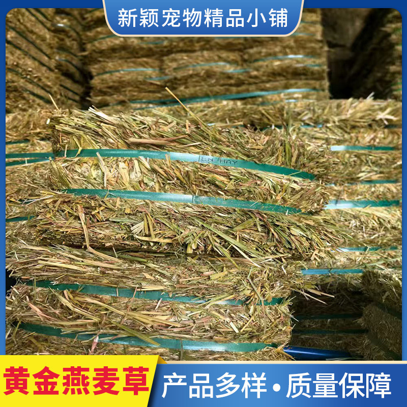 Australian Imported Golden Oat Grass Zoo Cattle, Sheep, Horses, Poultry and Livestock Grass Plant-Based Feed Protein