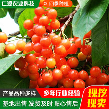 ������� ������˹����Ҙ����ϱ������Ե��ԷNֲ2��޽��������