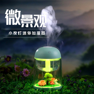 New Micro landscape humidifier usb bedroom household colorful night light plant landscape light humidifier electronic gift