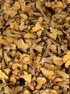 ��ș�����Ƭ��ș�Ğ��Ȟ��ѱ����S�h�ݽ��L��������������ă�