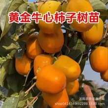 ���rֱ�N���ۺóԴ�������  ţ����  ĥ�P�� Ҏ���Rȫ  �r��