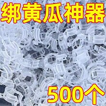 �r�@�Nֲ�߲˹Ϲ������������������̶��A�h�۹���G��ֲ�ｉ���A