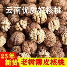 云南薄皮山核桃 农家自产纸皮核桃 山核桃原味无漂白核桃一件代发