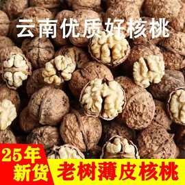 云南薄皮山核桃 农家自产纸皮核桃 山核桃原味无漂白核桃