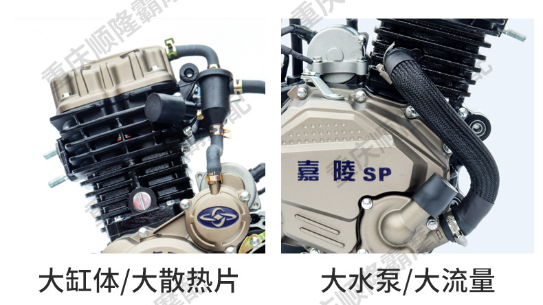 Jialing Brand Three-Wheel Motorcycle Engine 175 200 250 300 350 Water-Cooled Engine Original Genuine Product