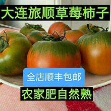 ��S���]��ݮ���ӷ����ЙC���ӵ��|���B�FƤ����ˮ�����t��