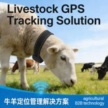 4G GPS Tracker for Cattle Sheep, Real-Time Ranch Monitoring