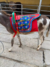 �P�T��ë�H��С���R����90�������°��RС�Hʹ��ِ���ɫ�S�C