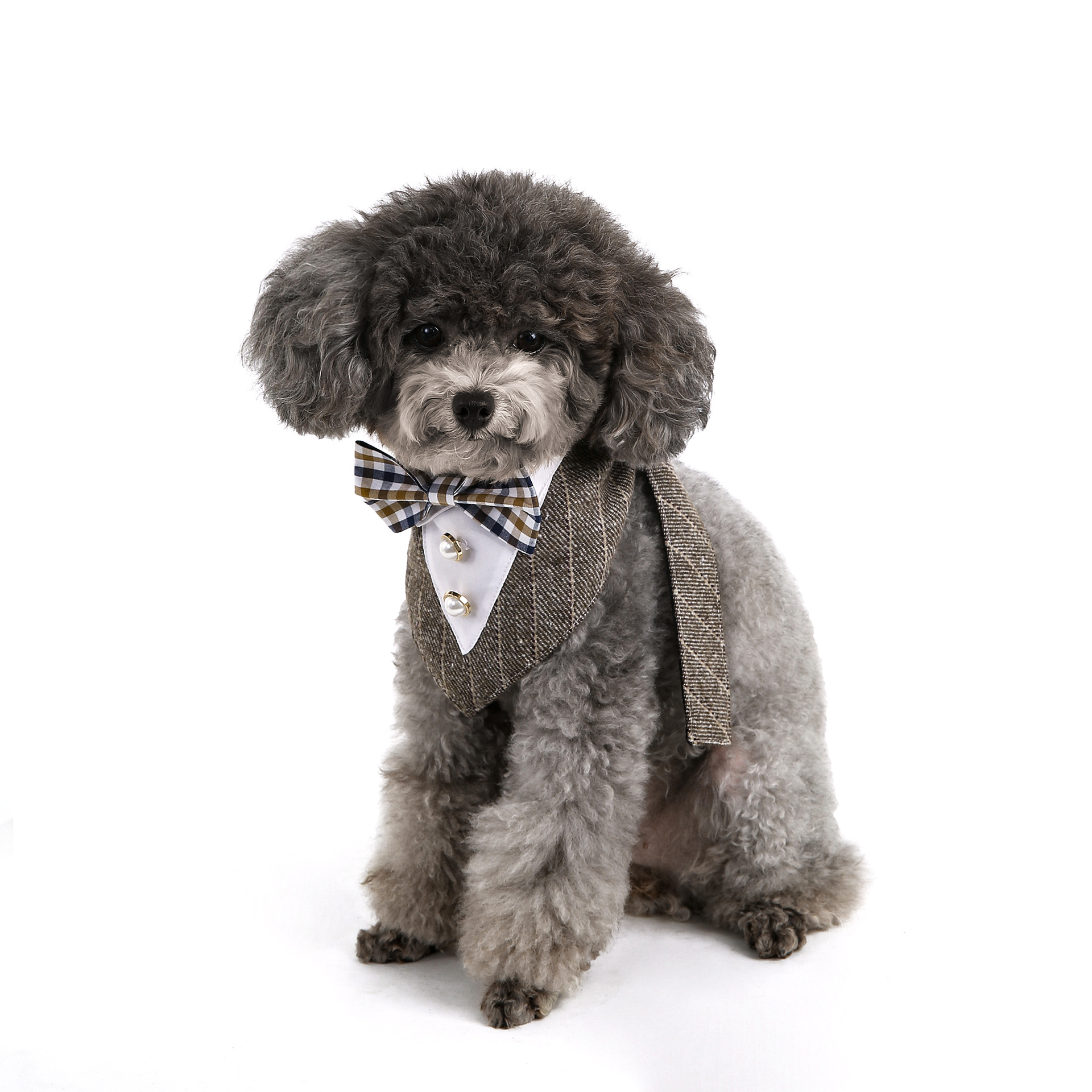 Navidad, Año Nuevo, nuevo traje de mascota transfronterizo, guapo mascota, toalla de boda, toalla triangular, bufandas para perros