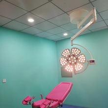 医院用手术室无影灯 LED医美口腔宠物医院用吊式立式冷光手术灯