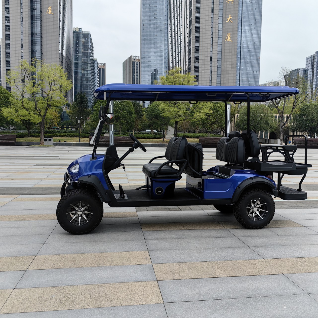 4-6 Seat Electric Golf Cart/Hotel Reception Car/Sightseeing Car