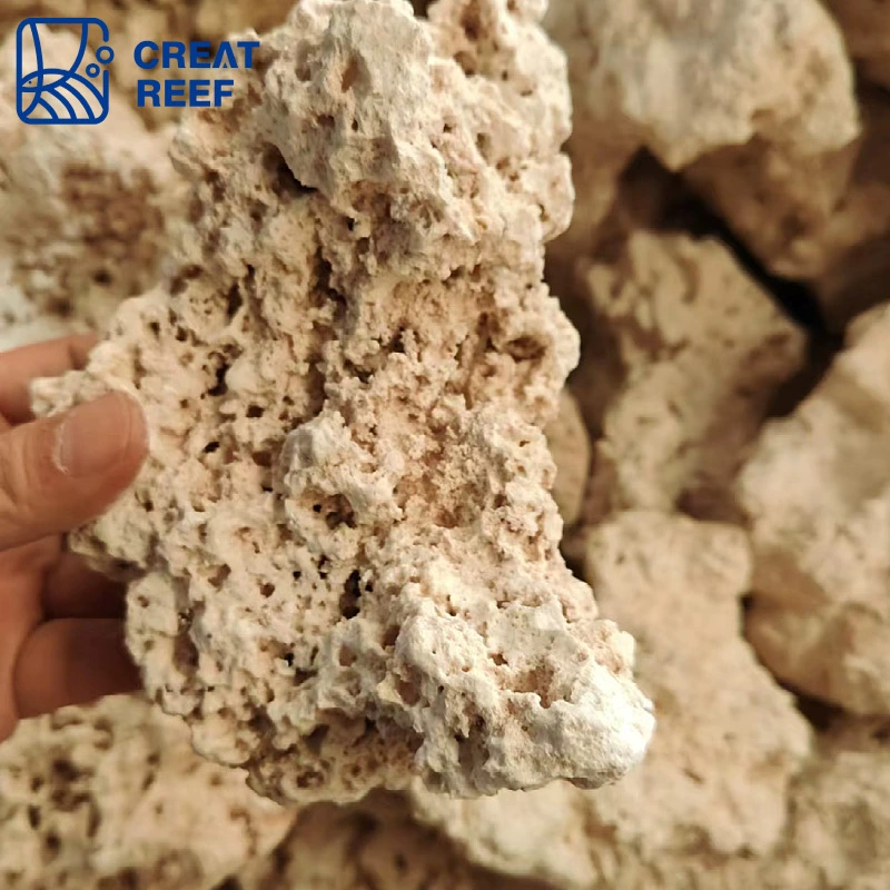 Japan Creat Reef Create Reef Human Java Island dry rock seas landscaping stone instead of living stone artificial mining