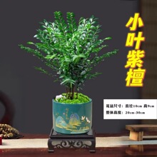 С�~��̴�辰�Gֲ���Բ��҃��k��������绨���Ϙ�ֲ�������