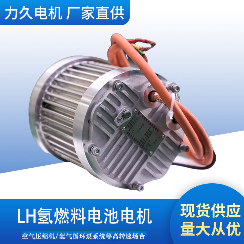 Lijiu Lh Series Hydrogen Fuel Cell Air System Motor High-Speed Permanent Magnet Variable Frequency Hydrogen Pump Motor Customization