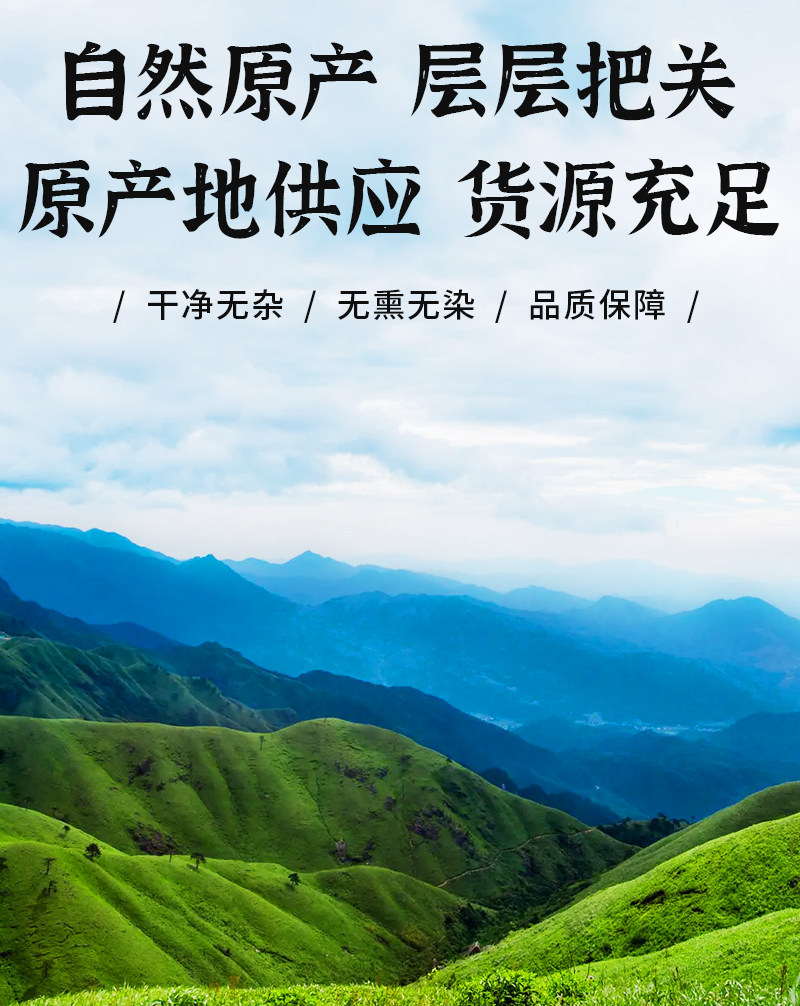 Tou Gu Cao透骨草 Wild Speranskia Herb 500g Dried Chinese Herbal Tea Material in use