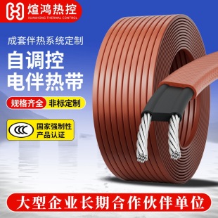 Zbr Series Self-Limiting Temperature Medium Temperature Electric Heating Belt Pipeline Self-Regulating Temperature Explosion-Proof Flame Retardant Electric Heating Belt Heating Belt Manufacturer